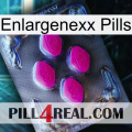 Enlargenexx Pills 02